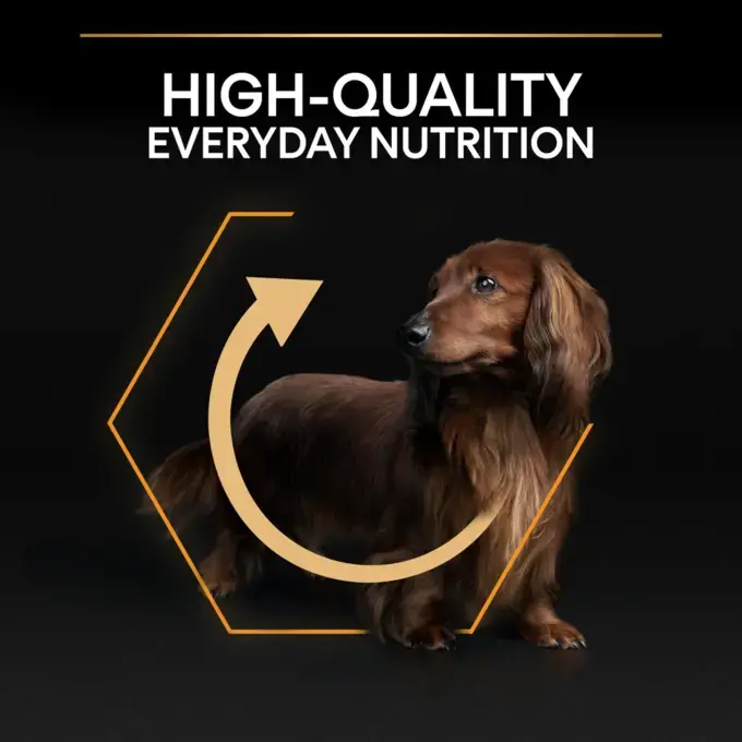 PRO PLAN Small Mini Nutrition Chicken Dry Dog Food Purina