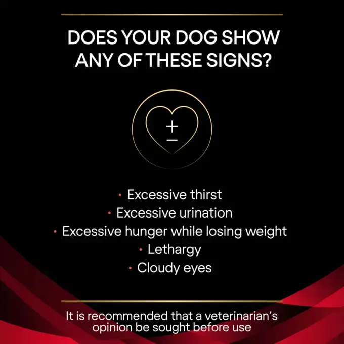 Purina diabetes management dog food outlet