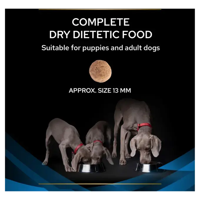 Drm dog food shop
