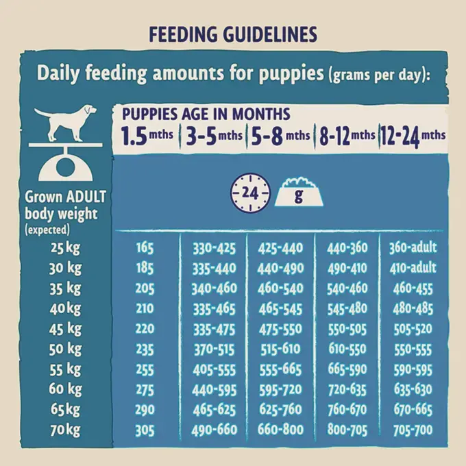 Pro plan puppy large breed feeding guide outlet