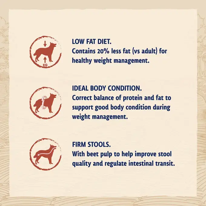 Beta light dog food 14kg online