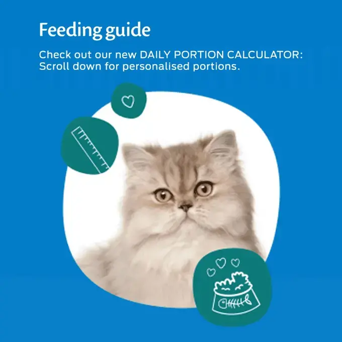FELIX As Good As It Looks Mixed Selection Jumbo Pack Purina