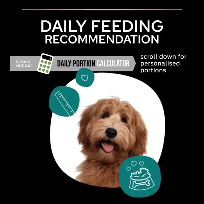 Pro plan urinary dog sales