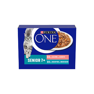 PURINA ONE® 7+ Mini Fillets Salmon and Ocean Fish Wet Cat Food