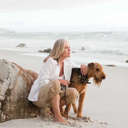 Airedale Terrier on the beach with person.