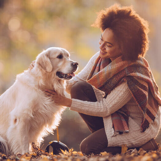 women with golden retriever in the park