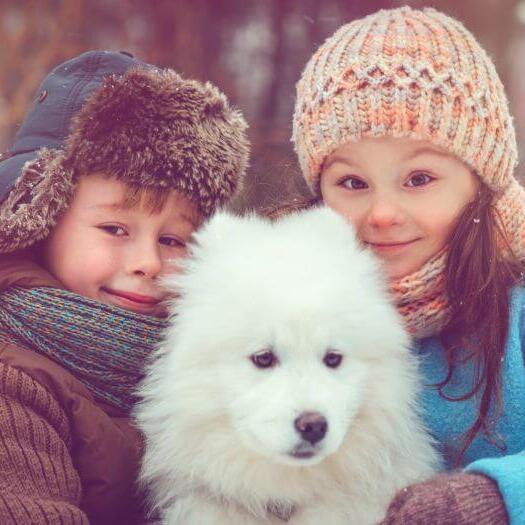 Japanese Spitz with two kids