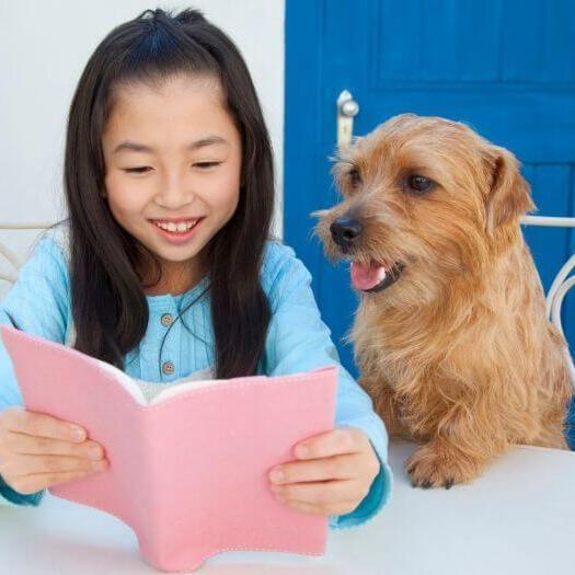 Norfolk Terrier sitting next to girl