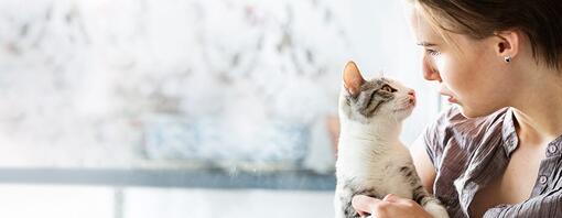 Light furred kitten being held by woman.