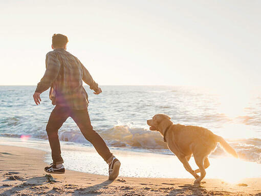 Man running with Labrador on the beach