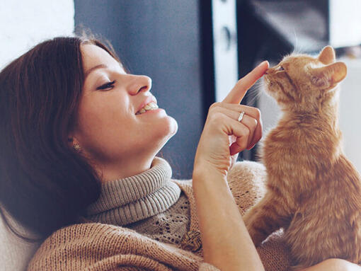 Woman touching ginger cat's nose