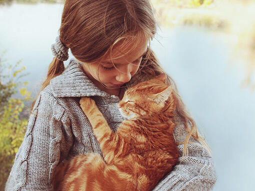 Child cuddling ginger cat