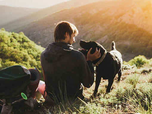 Man hiking with dog in hills
