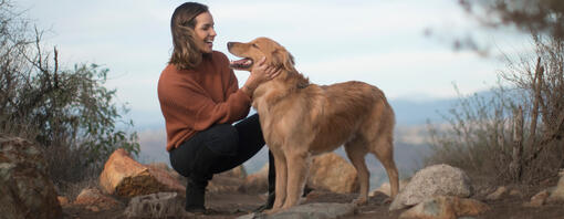 Golden retriever with owner on mountain trail.