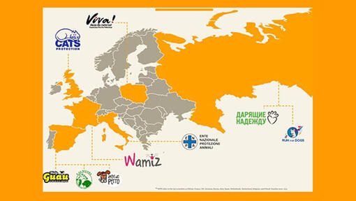 European map with adoption charities