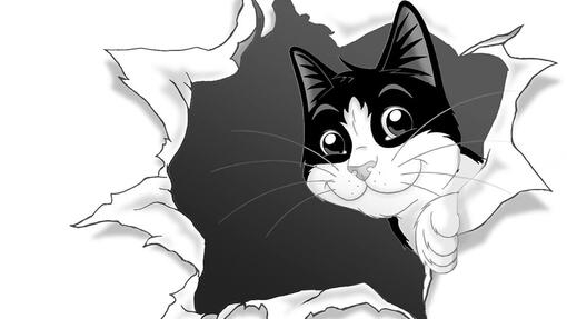 Cat food Felix listing page