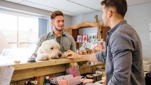 white dog looking over counter top with owner and clerk