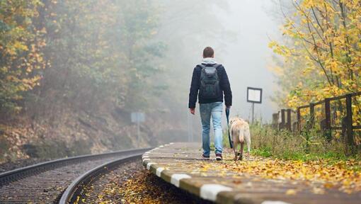 man walking along platform with yellow labrador