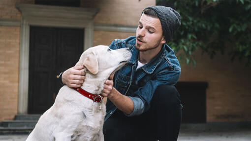 dog looking up at young owner