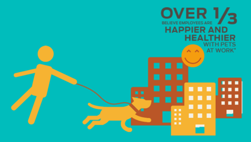 Over 1/3 believe employees are happier and healthier with pets at work