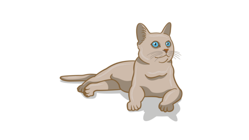 Signs That Your Cat Is Mad at You, According to Animal Behaviorist