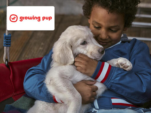 boy with his puppy