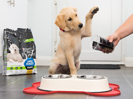 Pro plan breeder deals