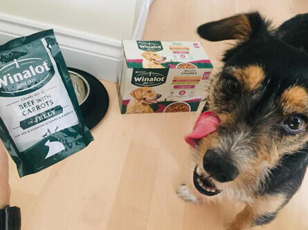 winalot shapes best price