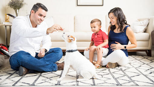 family and child playing with puppy