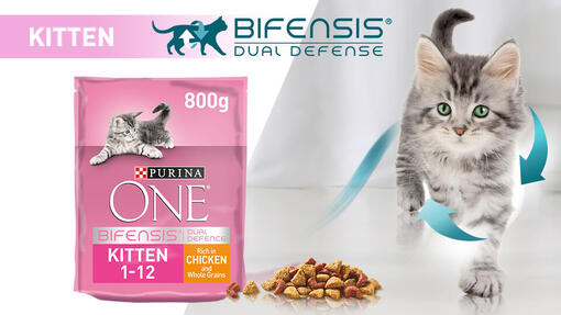 Purina One Kitten try for free