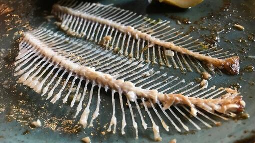 Fish bones on the plate