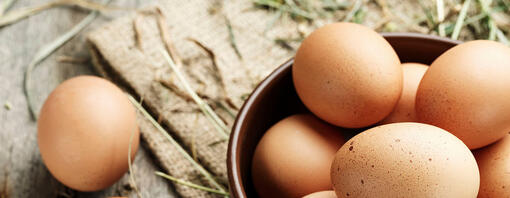 Brown eggs in a plate