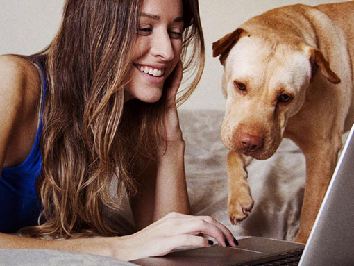 A woman looking at a laptop with her dog
