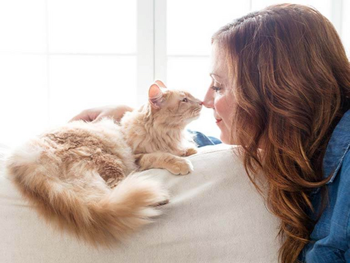 Cat touching nose to nose with woman