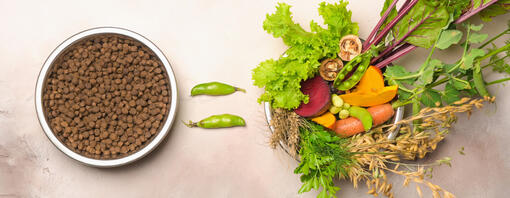 Dry food and vegetables