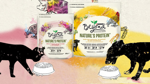 BEYOND® Natures Protein