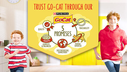 GO-CAT® 5 Promises Hero