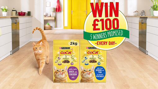 hero-range-mobile-go-cat-asda