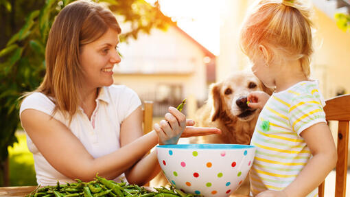 are frozen peas good for dogs