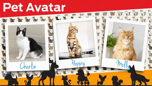Cat Avatar 2.0