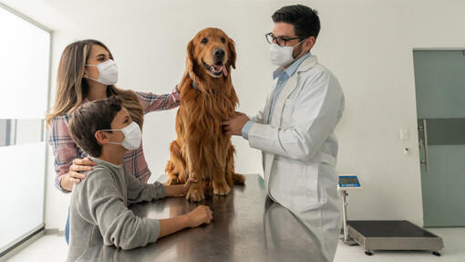 Family at vets with their dog