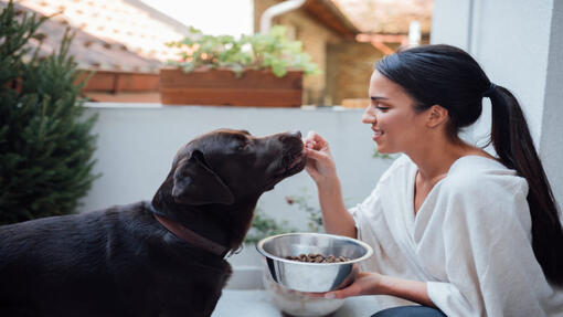 young woman and her dog