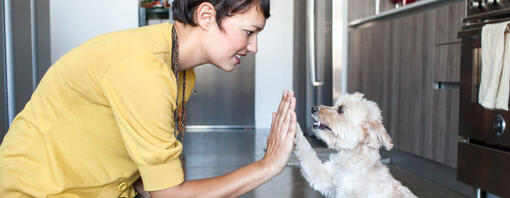 woman giving a dog a high five in the kitchen