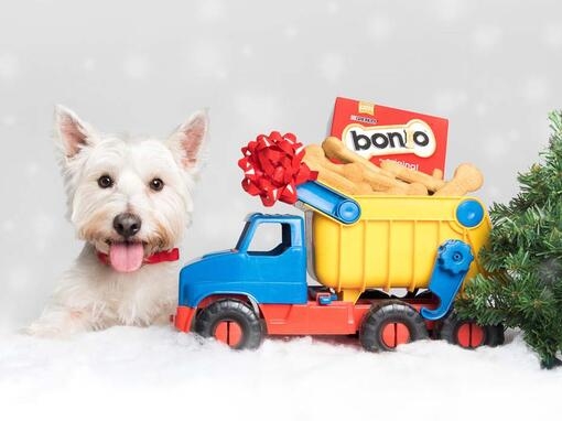 Our Products - Christmas