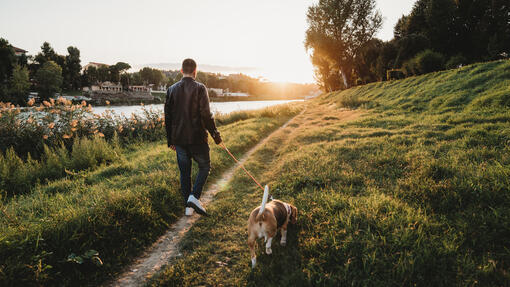 Owner walking with his dog