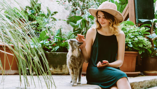 Owner petting her cat