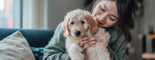 white puppy in the arms of their owner