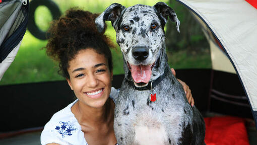 Woman hugging Great Dane dog