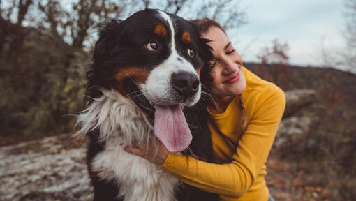 Woman hugging Bernese Mountain dog