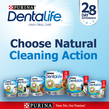 28 Day Difference Choose Natural Cleaning Action